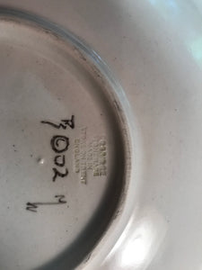 Cobridge plate